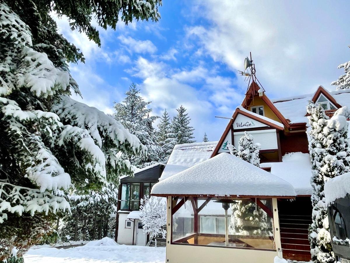 Apartment Velago Zlatibor